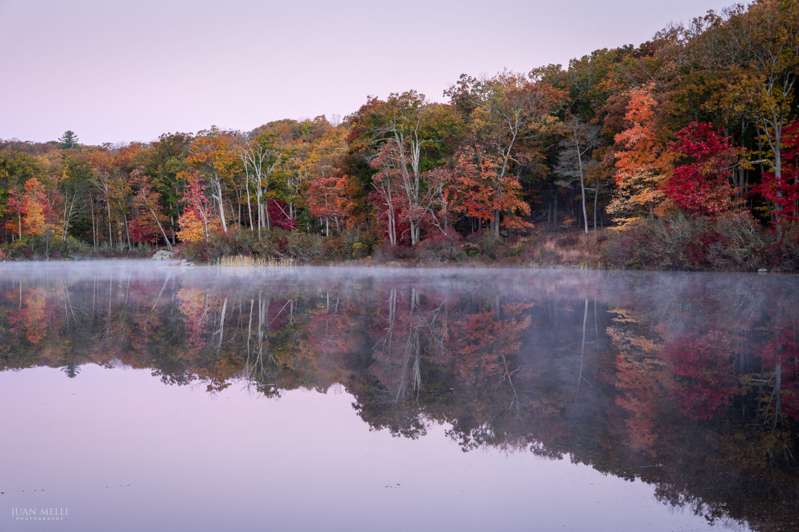 Red and orange autumn trees on the shore of Lake Skannatati at dawn, reflected in misty water under a pink sky