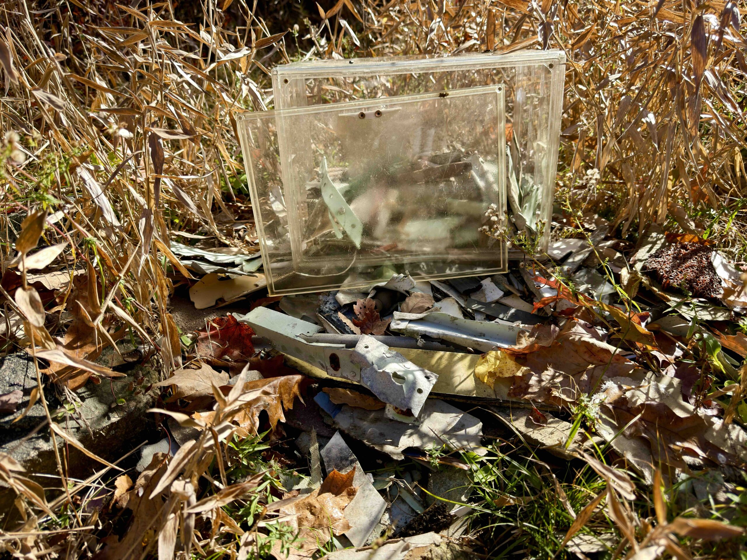 Pieces of Flight 6231 wreckage collected in and around a clear plastic case among dry grass and fallen leaves