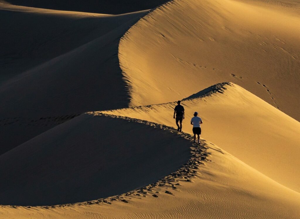 Two hikers walking the curving crest of a golden sand dune
