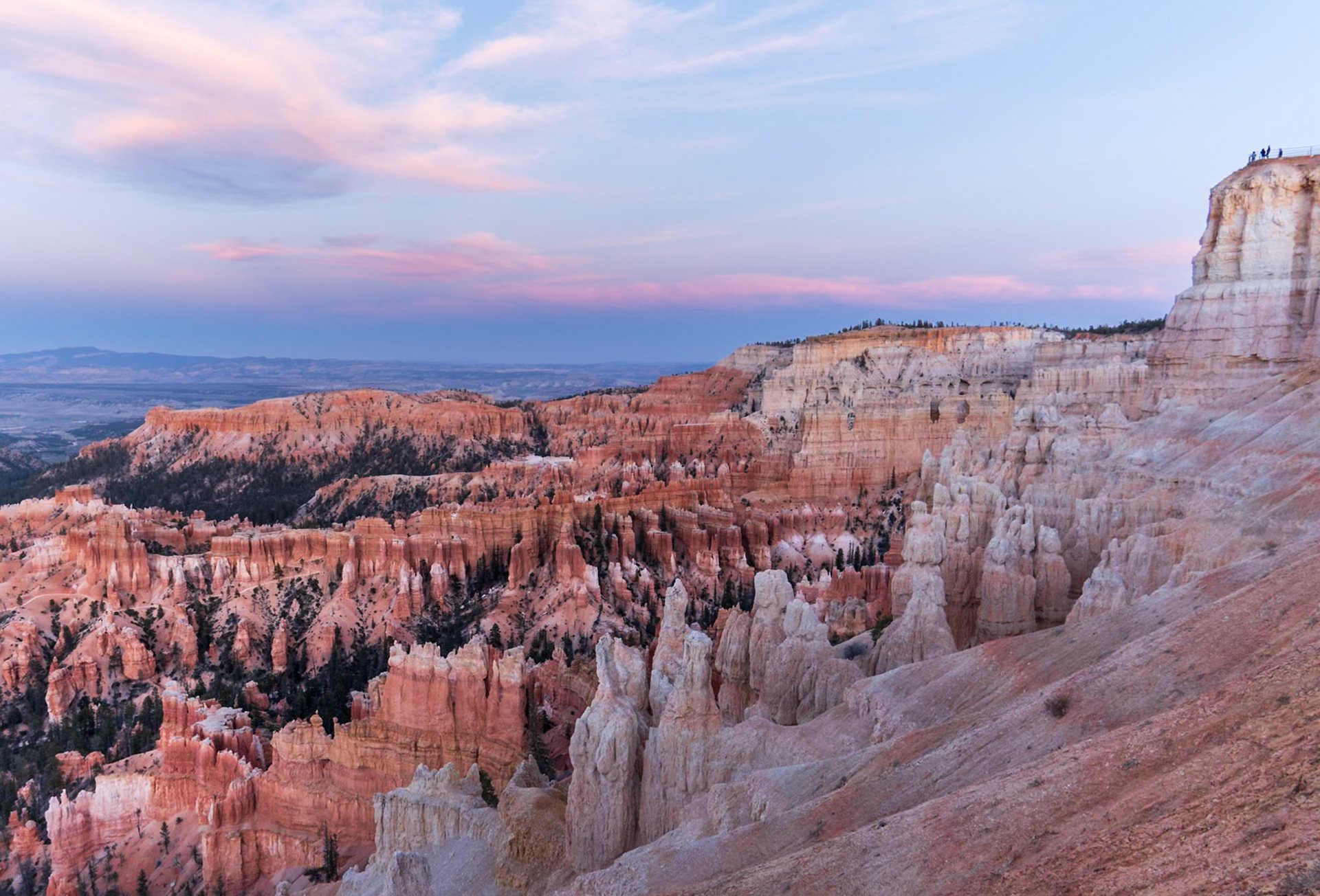 The hoodoos of Bryce Canyon in soft dawn light