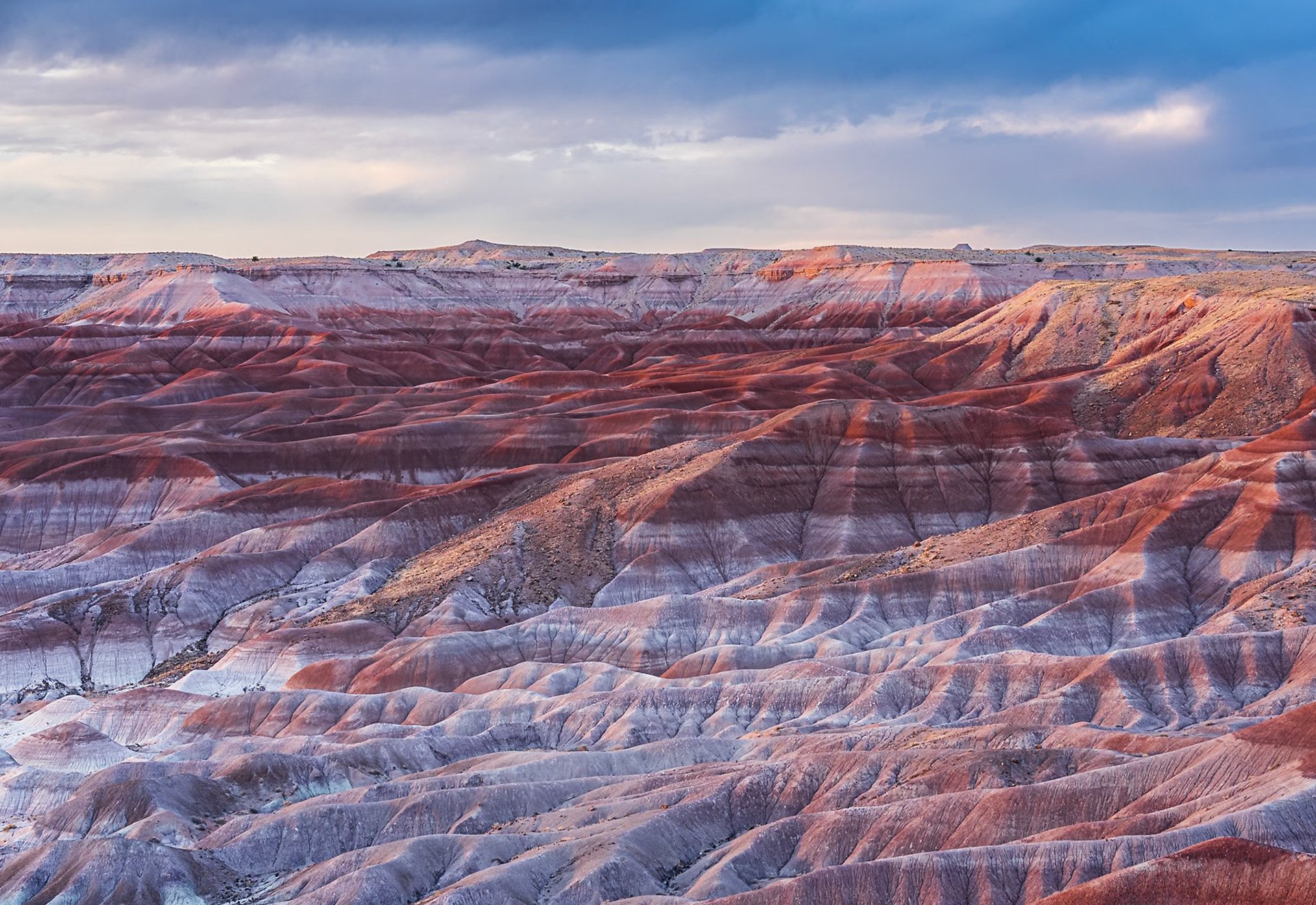 Banded red, purple and white badlands of the Painted Desert