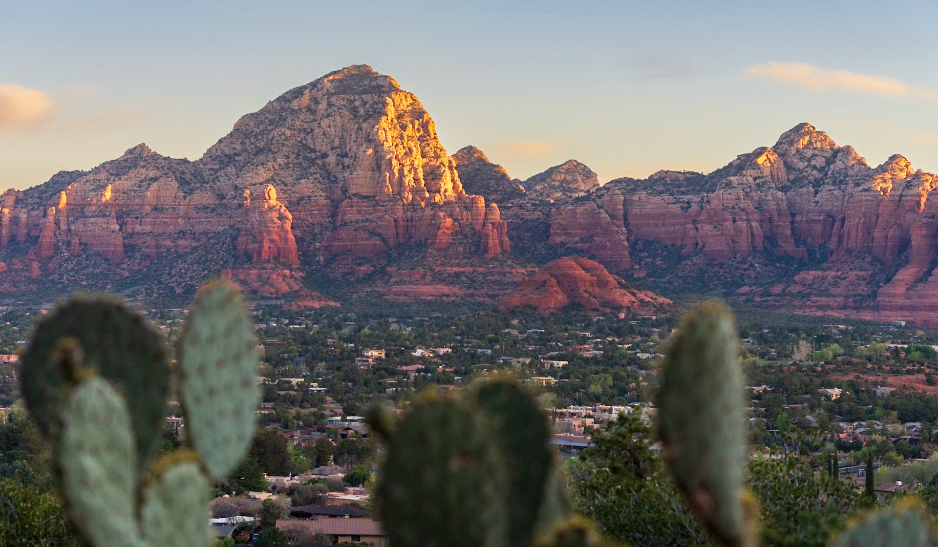 Sedona's red rock buttes above town, prickly pear cactus in the foreground