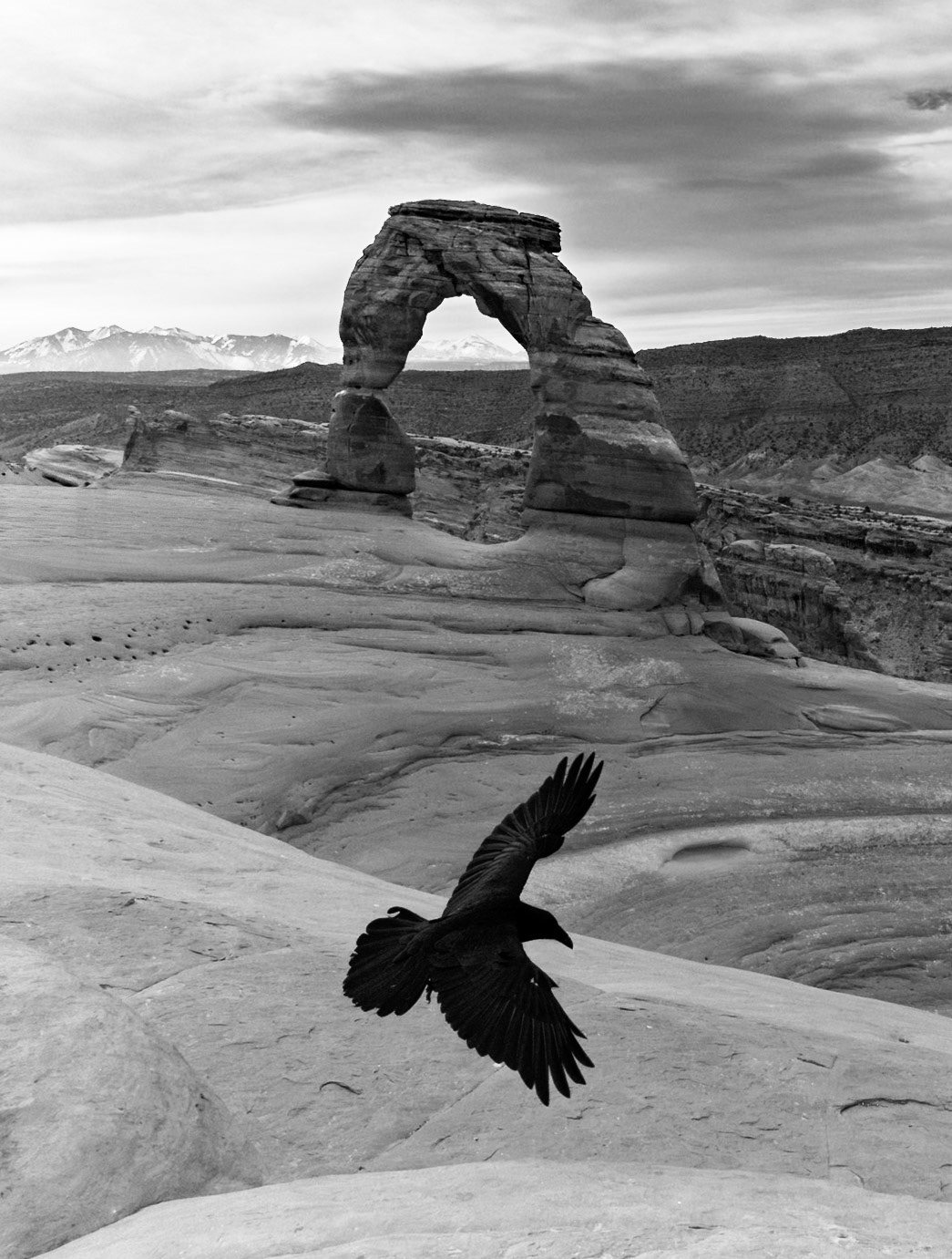 Delicate Arch with a raven in flight, in black and white