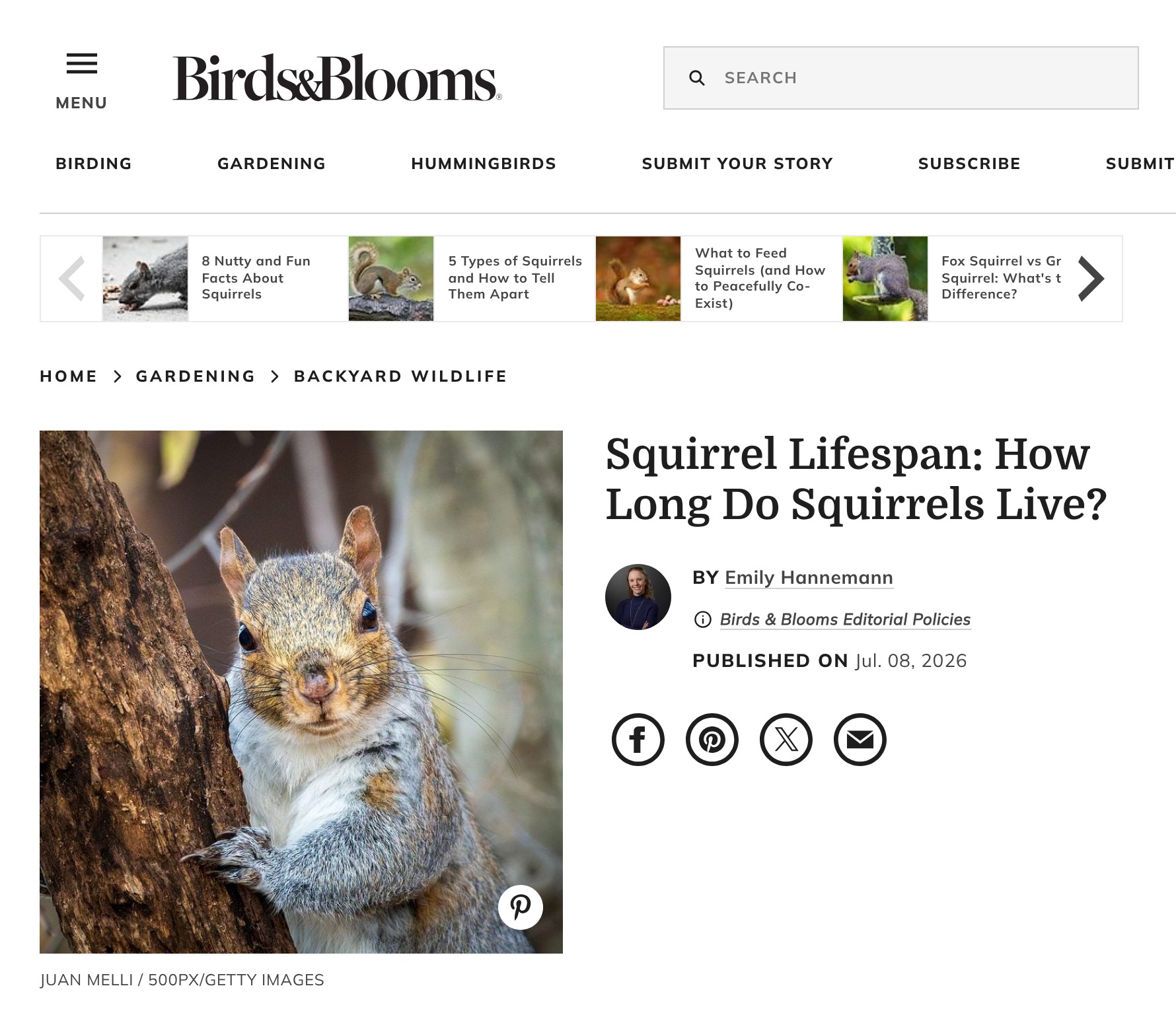 Birds & Blooms: How long do squirrels live?