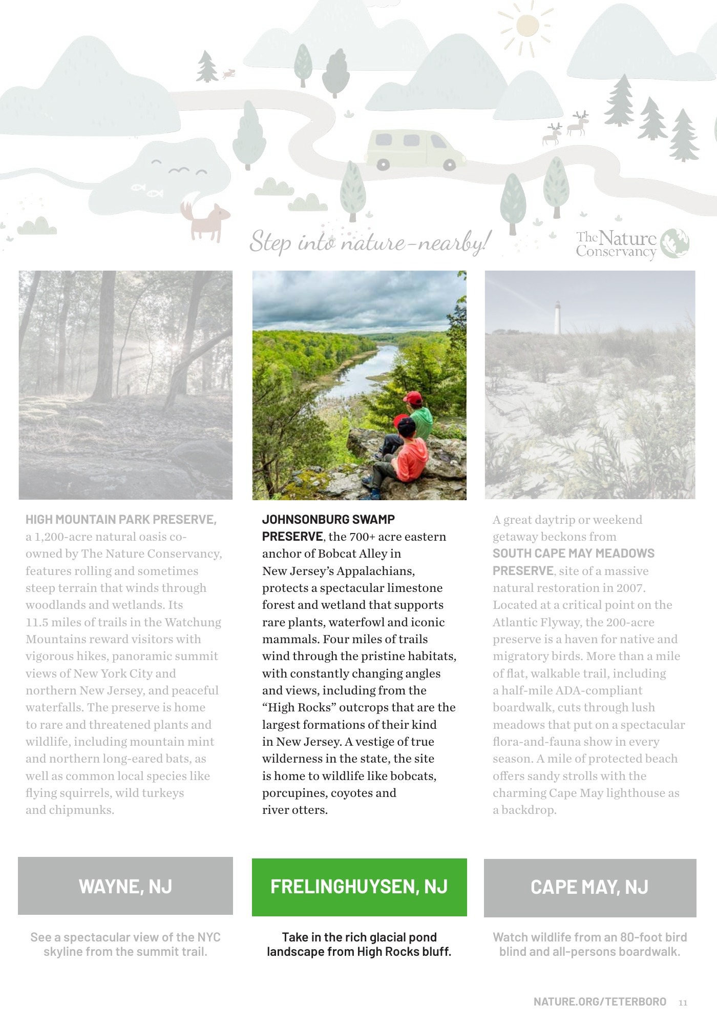 The Nature Conservancy: brochure page 11 featuring Johnsonburg Swamp Preserve