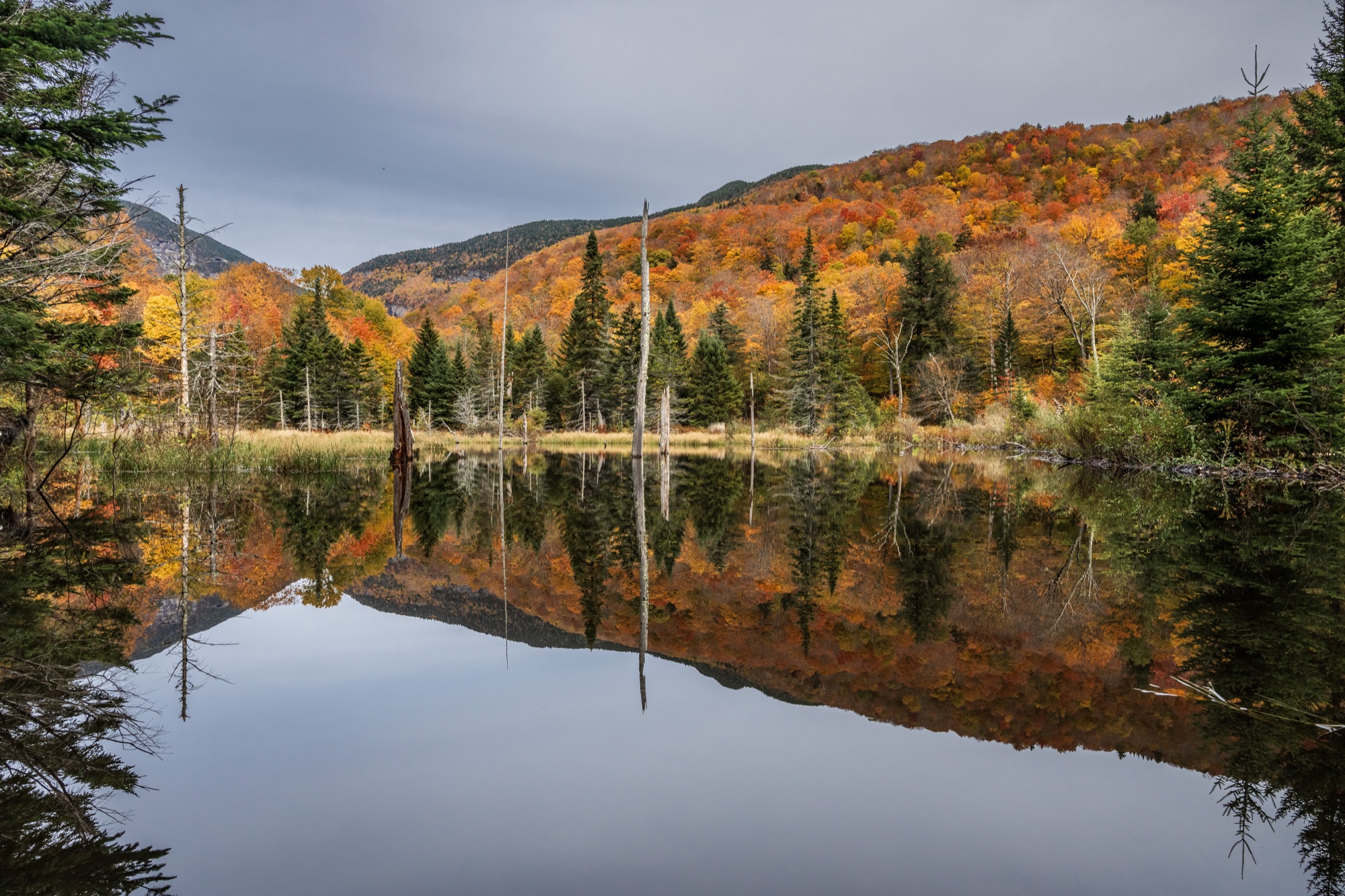 A beaver pond at the end of the Barnes Camp Boardwalk reflecting evergreens and fall color, with Smugglers' Notch beyond